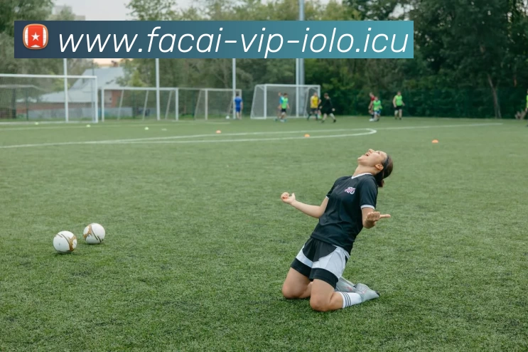 华体会体育注册发展历程